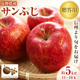 【ふるさと納税】【2025発送分】=信州中野の旬をお届け= サンふじ　贈答用　5kg(11～18玉)【高丘フルーツ】_ リンゴ りんご 林檎 サンふじ 果物 くだもの フルーツ ふるーつ 国産 信州 長野 贈答 ギフト 産地直送 送料無料 おすすめ 人気 お取り寄せ 旬 5kg 【1297195】