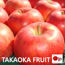 【ふるさと納税】2026年発送「産地より信州中野の旬をお届け」 シナノスイート　贈答用　約5kg_ りんご 林檎 リンゴ シナノスイート フルーツ 果物 ふるーつ くだもの 国産 旬 ギフト 贈答 産地直送 信州 長野 人気 品種 送料無料 産直 【1306564】