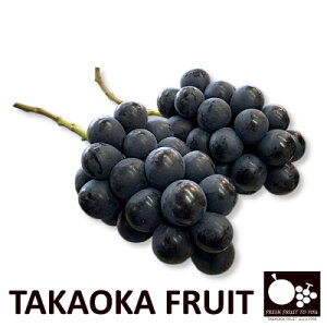 �y�ӂ邳�Ɣ[�Łz2026�N�����u�Y�n���M�B����̏{�����͂��v �i�K�m�p�[�v���@�����p�@��1kg�y�z���s�n��F�����z�y1311109�z