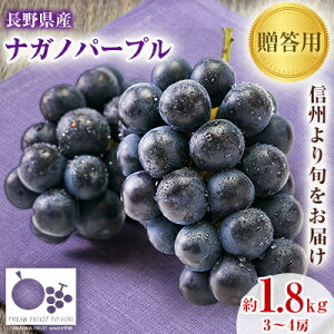 �y�ӂ邳�Ɣ[�Łz2026�N�����u�Y�n���M�B����̏{�����͂��v �i�K�m�p�[�v���@�����p�@��1.8kg�y�z���s�n��F�����z�y1311112�z