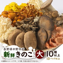 楽天市場】天然 きのこ 販売 長野の通販