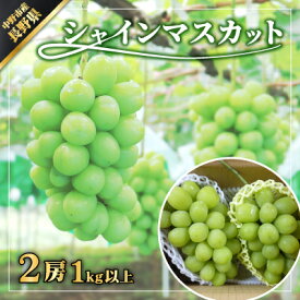 【ふるさと納税】長野県　中野市産　シャインマスカット2房(1.0kg以上)【配送不可地域：離島・北海道・沖縄県】【1331082】