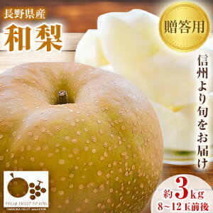 yӂ邳Ɣ[ŁzuYnMB̏{͂v ut[c̒쌧Yuavp@3Kg@8-12ʑOyzsnFzy1407564z
