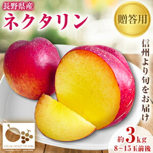 �y�ӂ邳�Ɣ[�Łz���u�t���[�c�̒��쌧�Y�u�l�N�^�����v�����p�@��3Kg�y�z���s�n��F�����z�y1407569�z