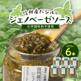 【ふるさと納税】朝採れ信州産バジルのジェノベーゼソース 120g×6本【配送不可地域：近畿】【1437610】