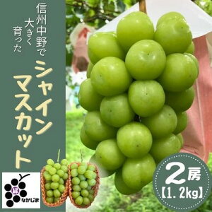 yӂ邳Ɣ[ŁzVC}XJbg@2[Zbg(1.2kg)_ VC}XJbg  Ԃǂ uhE t[c ʕ ӂ[  Y { Mtg W[V[ Â v[g 蕨 