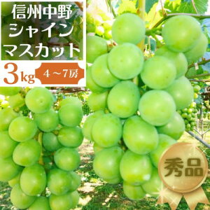 yӂ邳Ɣ[Łz쌧sYԂǂEVC}XJbgGi 3kg 4`7[_ uhE Ԃǂ  t[c ʕ  Â VC }XJbg 3kg lC Gi Ȃ 쌧 MB 