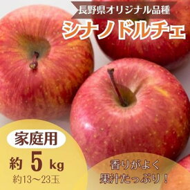 【ふるさと納税】りんご シナノドルチェ 約5kg 家庭用(13玉～23玉)【1495967】