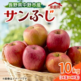 【ふるさと納税】【訳あり】【先行予約】 りんご サンふじ 10kg 家庭用 長野県産【1496268】