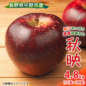【ふるさと納税】【先行予約】 りんご 秋映 4.8kg 長野県産_ りんご 林檎 リンゴ 秋映 あきばえ フルーツ 果物 ふるーつ くだもの 国産 旬 ギフト 贈答 産地直送 信州 長野 人気 品種 送料無料 産直 【1496555】