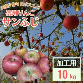 【ふるさと納税】信州りんご 加工用 10kg サンふじ【1508406】