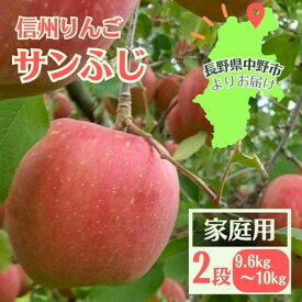 【ふるさと納税】信州りんご サンふじ(2段)計9.6kg～10kg 家庭用【11月中旬より順次発送】_ りんご ふじ サンふじ リンゴ 林檎 甘い 人気 訳あり 信州 長野県 産地直送 不揃い 傷 家庭用 自宅用 約10kg 秋 冬 くだもの 果物 果実 フルーツ 送料無料 【1508408】