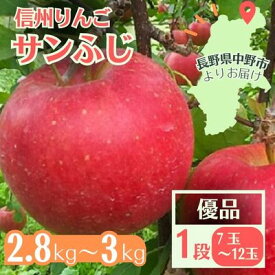 【ふるさと納税】信州りんご サンふじ(1段)2.8kg～3kg 優品【11月中旬より順次発送】【1508410】