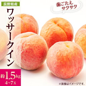 【ふるさと納税】【2026年発送】フルーツ王国　長野県信州直送　ワッサークイン　約1.5kg(4～7玉)　_ 桃 もも 果物 フルーツ くだもの ワッサークイン ネクタリン 硬い 贈答 ギフト プレゼント 信州 長野 送料無料 人気 産地直送 おすすめ 【配送不可地域：離島】【1530500】