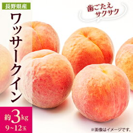 【ふるさと納税】【2026年発送】フルーツ王国　長野県信州直送　ワッサークイン　約3kg(9～12玉)_ 桃 もも 果物 フルーツ くだもの ワッサークイン ネクタリン 硬い 贈答 ギフト プレゼント 信州 長野 送料無料 人気 産地直送 おすすめ 【配送不可地域：離島】【1530502】