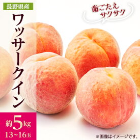 【ふるさと納税】【2026年発送】フルーツ王国　長野県信州直送　ワッサークイン 約5kg(13～16玉)_ 桃 もも ネクタリン フルーツ 果物 くだもの ワッサークイン 贈答 ギフト 人気 おすすめ 送料無料 お取り寄せ 長野県 信州 【配送不可地域：離島】【1530503】