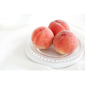 【ふるさと納税】【2026年発送】フルーツ王国　長野県信州直送「旬な桃」　あかつき　約5kg(13～16玉)【配送不可地域：離島】【1530515】