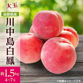 【ふるさと納税】【2026年発送】フルーツ王国　長野県信州直送　桃　川中島白鳳　約1.5kg(4～7玉)_ 桃 もも 果物 フルーツ くだもの 白鳳 川中島白鳳 贈答 ギフト プレゼント 信州 長野 送料無料 人気 産地直送 おすすめ 【配送不可地域：離島】【1530522】