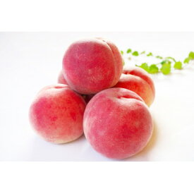 【ふるさと納税】【2026年発送】フルーツ王国　長野県信州直送　桃　川中島白鳳　約5kg(13～16玉)_ 桃 もも 果物 フルーツ くだもの 白鳳 川中島白鳳 贈答 ギフト プレゼント 信州 長野 送料無料 人気 産地直送 おすすめ 【配送不可地域：離島】【1530530】