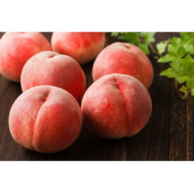 【ふるさと納税】【2026年発送】フルーツ王国　長野県産　北信州　桃　なつっこ　約1.5kg(4～7玉)_ 桃 もも 果物 フルーツ くだもの なつっこ 贈答 ギフト プレゼント 信州 長野 送料無料 人気 産地直送 おすすめ 【配送不可地域：離島】【1530554】