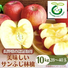 【ふるさと納税】長野県の認証取得の美味しいサンふじ林檎10kg_ りんご ふじ サンふじ リンゴ 林檎 サンふじりんご 甘い 美味しい 蜜 信州 長野県 中野市 産地直送 10kg 秋 冬 くだもの 果物 果実 フルーツ デザート おやつ 減農薬 【1534439】