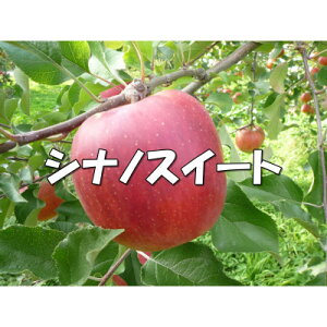 yӂ邳Ɣ[ŁzVLb!Á`!VimXC[g 5kgy1536024z