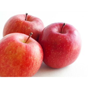 yӂ邳Ɣ[Łzy2026Nzt[c 쌧Y 񂲁@Vimh`F 5kg(10`18ʒx)_  ь ʕ  t[c Vimh`F 쌧 Yn  