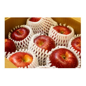 【ふるさと納税】【2026年発送】フルーツ王国　長野県産 りんご　紅玉(こうぎょく)　約3kg(7～11玉程度)【1541927】