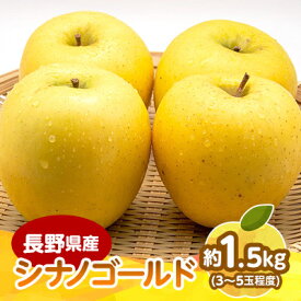 【ふるさと納税】長野県産 りんご　シナノゴールド　約1.5kg(3～5玉程度)_ りんご 林檎 果物 くだもの フルーツ シナノゴールド 長野県 産地直送 送料無料 お取り寄せ ギフト 贈答 プレゼント 信州 【1541949】