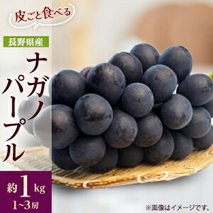 yӂ邳Ɣ[Łzy2025Ns\zt[cMBYn@炲ƐHׂiKmp[v@1kg(1`3[)_ iKmp[v Ԃǂ  ʕ t[c   Mtg v[