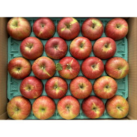 【ふるさと納税】シャキッ!甘～い!小玉 食べきりサイズ!シナノスイート 約5kg 信州りんご【1544363】