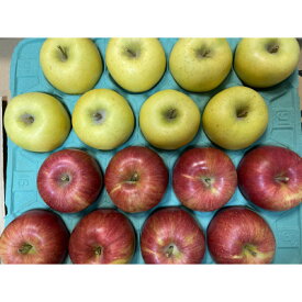 【ふるさと納税】シナノスイート、シナノゴールド詰合せ 約5kg【1551867】