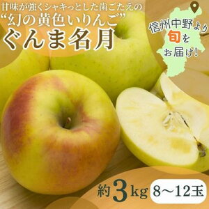 yӂ邳Ɣ[Łzܖ@3kg(8`12)yzsnFzy1552041z