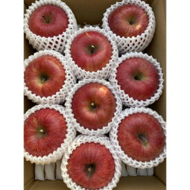 【ふるさと納税】シャキシャキッ!完熟サンふじ 贈答用 約3kg【1558027】