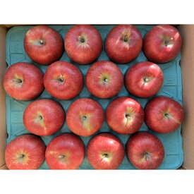 【ふるさと納税】シャキシャキッ!完熟サンふじ 贈答用 約5kg【1558028】