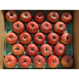 【ふるさと納税】シャキシャキッ!小玉 食べきりサイズ!完熟サンふじ 約10kg 信州りんご【1558033】