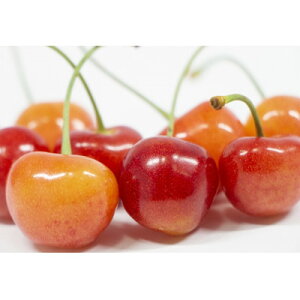 yӂ邳Ɣ[Łzy2026Nzt[c@MBY@ځ@@600g(100g×6pbN)yzsnFzy1570408z