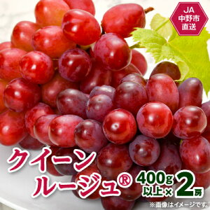 yӂ邳Ɣ[Łzy2025Nz쌧܂̐VԂǂNC[[W(R)2[(800gȏ)s璼_ Ԃǂ  NC[[W ʕ  t[c  Yn lC 