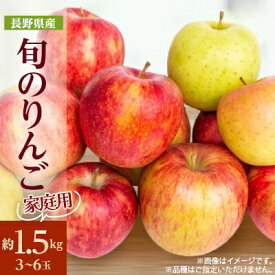 【ふるさと納税】【2025年発送開始】家庭用　長野県北信州のりんご　約1.5kg(3～6玉)おまかせ1品種_ りんご 林檎 果物 フルーツ くだもの 人気 おすすめ 送料無料 産地直送 長野 信州 家庭用 【1575373】
