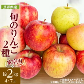 【ふるさと納税】家庭用　長野県北信州のりんご　約2kg(4～7玉)おまかせ2品種【1575394】