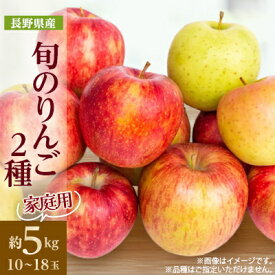 【ふるさと納税】家庭用　長野県北信州のりんご　約5kg(10～18玉)おまかせ2品種【1575398】