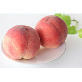 【ふるさと納税】【2026年発送】長野県 北信州の桃 約1.5kg(4～7玉)品種おまかせ　贈答にもおすすめ【配送不可地域：離島】【1575716】