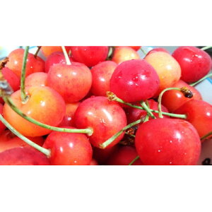 yӂ邳Ɣ[Łzy2026NzkMB̂ 2kg(200g×10pbN)i킨܂@ɂyzsnFzy1575830z