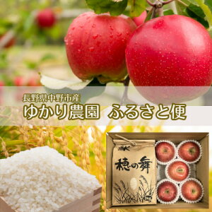 yӂ邳Ɣ[ŁzyYnz䂩_ӂ邳ƕ 2kg+(Tӂ)4`6@lߍ킹(ƒp)y1575853z