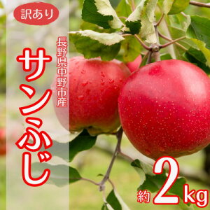 yӂ邳Ɣ[Łzy󂠂zYn@MB(Tӂ)2kg (ƒp)y1575858z