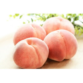 【ふるさと納税】【2026年発送】フルーツ王国　長野県信州直送　白桃　約5kg(12～16玉)【配送不可地域：離島】【1576258】