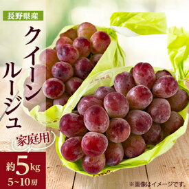 【ふるさと納税】家庭用【2025年発送】長野限定　信州産クイーンルージュ(赤ぶどう)　約5kg(5～10房)_ クイーンルージュ ぶどう 葡萄 赤ブドウ 果物 くだもの フルーツ 人気 おすすめ 送料無料 産地直送 家庭用 長野 信州 【配送不可地域：離島】【1576739】