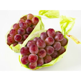 【ふるさと納税】【2025年発送】長野限定　信州中野産 クイーンルージュ(赤ぶどう)　約10kg(5～10房)_ ぶどう ブドウ 葡萄 長野県 種なし 赤ぶどう クイーンルージュ 果物 くだもの フルーツ ギフト 贈り物 国産 産地直送 送料無料 【配送不可地域：離島】【1576740】