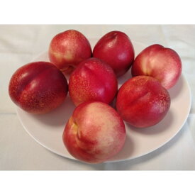 【ふるさと納税】【2026年発送】長野県信州直送　ネクタリン　約3kg(9～12玉)_ 桃 もも 果物 フルーツ くだもの 人気 おすすめ 送料無料 産地直送 長野 信州 ネクタリン 【配送不可地域：離島】【1576781】