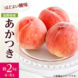 yӂ邳Ɣ[Łzy2026Nzt[c@쌧MBu{ȓv@@2kg(4`8)_     쌧 MB Â ʕ  t[c fU[g  Mtg 
